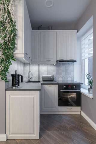 Апартаменты Dandelion apartment in the heart of Kaunas Каунас Апартаменты с 1 спальней-10