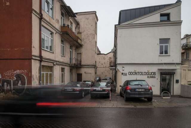 Апартаменты Dandelion apartment in the heart of Kaunas Каунас-35